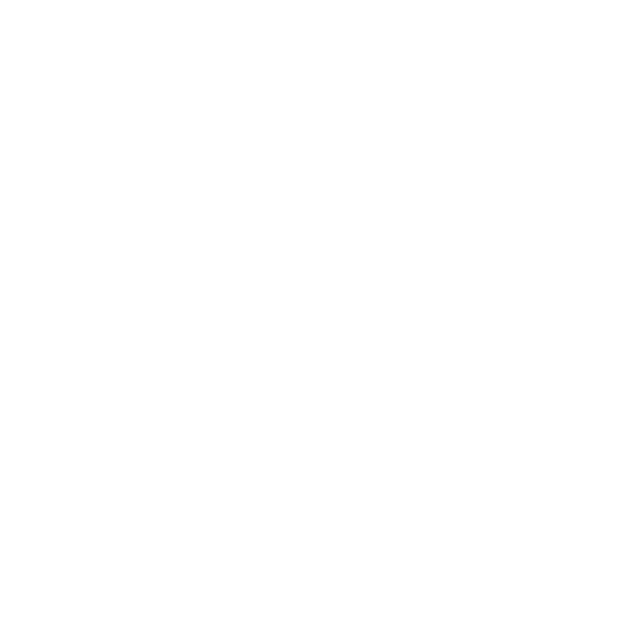 Chemin Neuf Jeunes